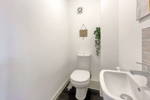 Photo 15- click for photo gallery